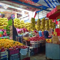 محمود محمود