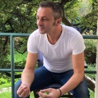 Tàm David