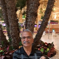 Dr. Bose K Nair