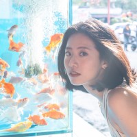 Jin Wang