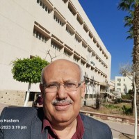 Hassan A Hashem