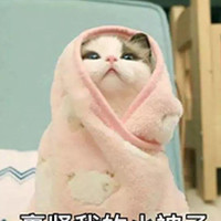 张雨嫣