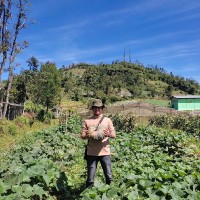 Gilang Prastya Lesmana