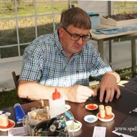 Staphorster Stipwerk