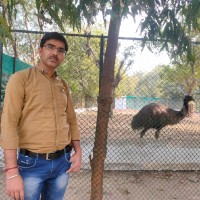 Birendra Kar