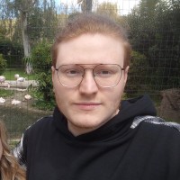 Davide D'Errico