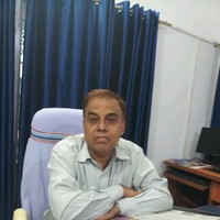 Sridhar Malik