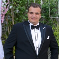 marco wassef ( cma in progress)