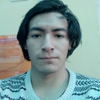 LUIS ARTURO MEZA ISLA