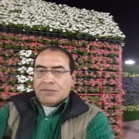 Sameer Saad