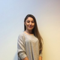 Nesrin Elif Arikan