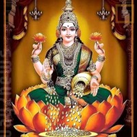 Maneesha Dolika