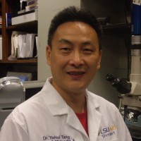 Yahui Tang