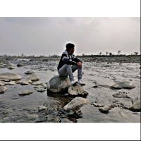 Vishal Tiwari