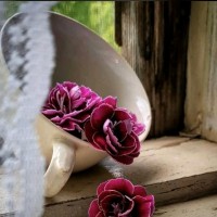 فلاح القحطاني