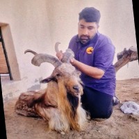 Yasir Khan