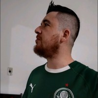 Luiz Fernando Domingues Esteves Da Silva