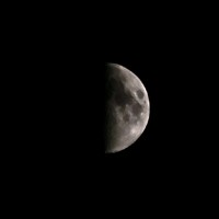 Mohammad Arshad Ali Akbar