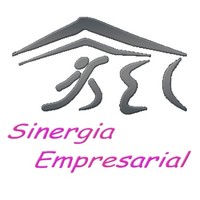 Sinergia Empresarial Consultoria Integral S.C