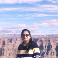 Anjali Nandanwar