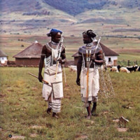 African Renaissance Project