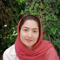 Sahar Najafi
