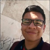 Carlos Ledesma Martinez