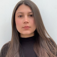 Silvia Alejandra Santamaria González