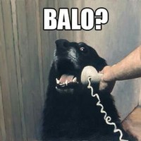 Божидар Динев
