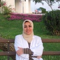 Abeer Hamed