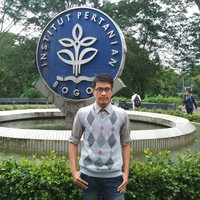 Dino Ali Hanafi