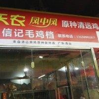凤中皇