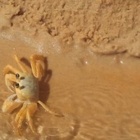 Solução Engenharia Félix / Danilo