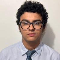 Diego Mesia Brizuela