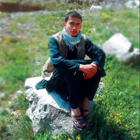 Mohammad Mohsen Mirzay