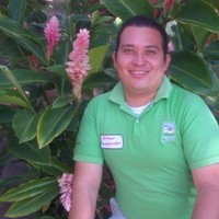 Elmer Ernesto Flores Elizondro