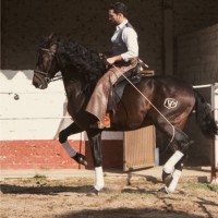 Diego Alejandro Fajer Navarro