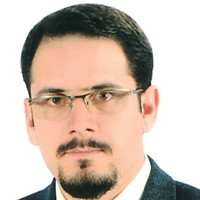 Ehsan Madadi