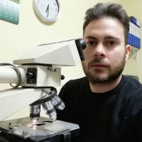 Maurizio Frigiola
