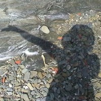 M. Lluïsa del Río León