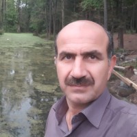 Ali Etemad