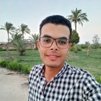 Moataz Abo-Esmail