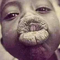 الباشا العراقي