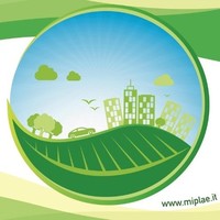 Miplae AmbienteEcologia