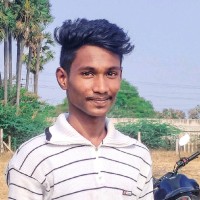 Vigneshwaran K