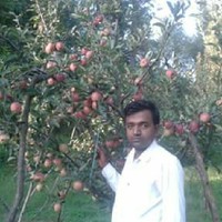Ravi Kumar