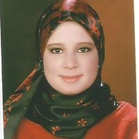 Sherin Hossam
