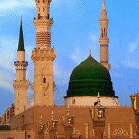 جارت. الحبيب.