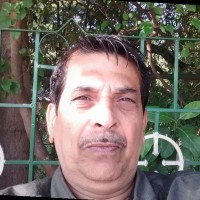 Himadri Paul