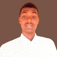 Ali Ibrahim Hassan